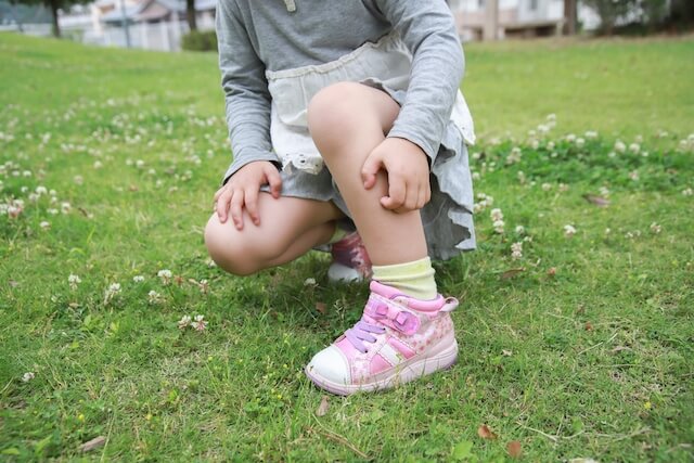 虫が少なくなる