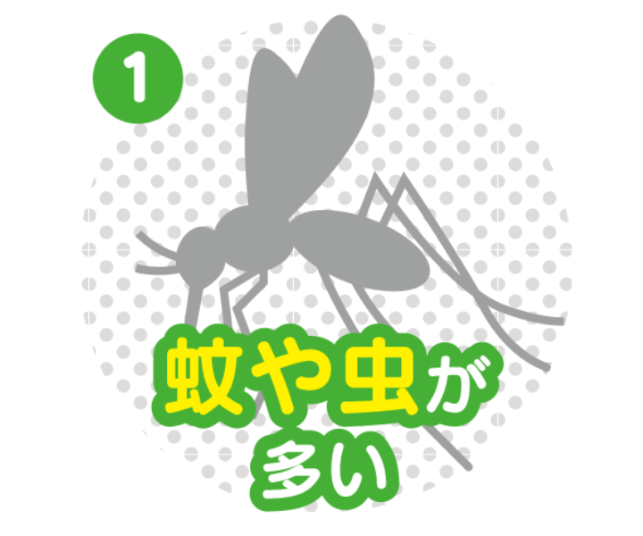 蚊や虫が多い