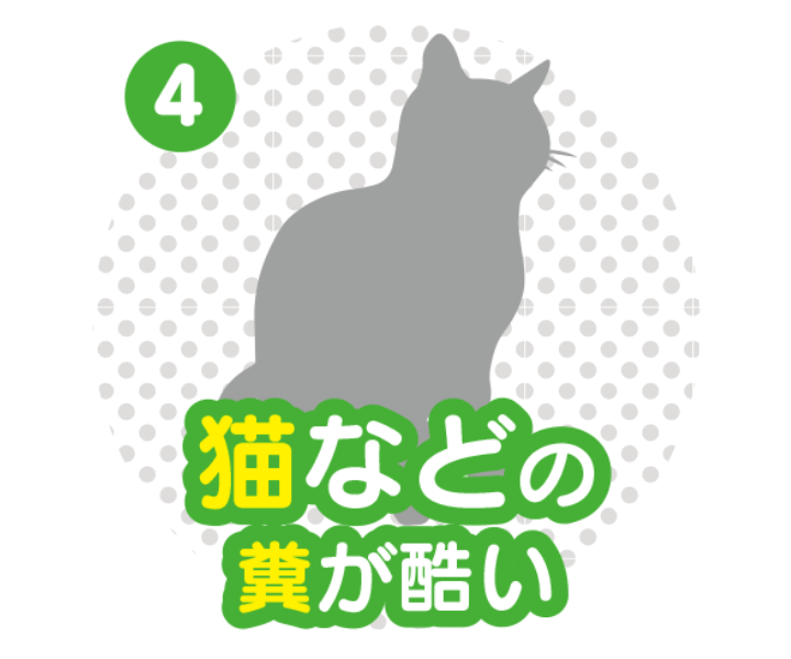 猫などの糞が酷い