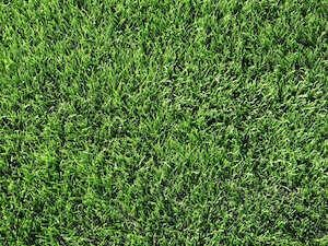 リアルな見た目と自然な肌触り